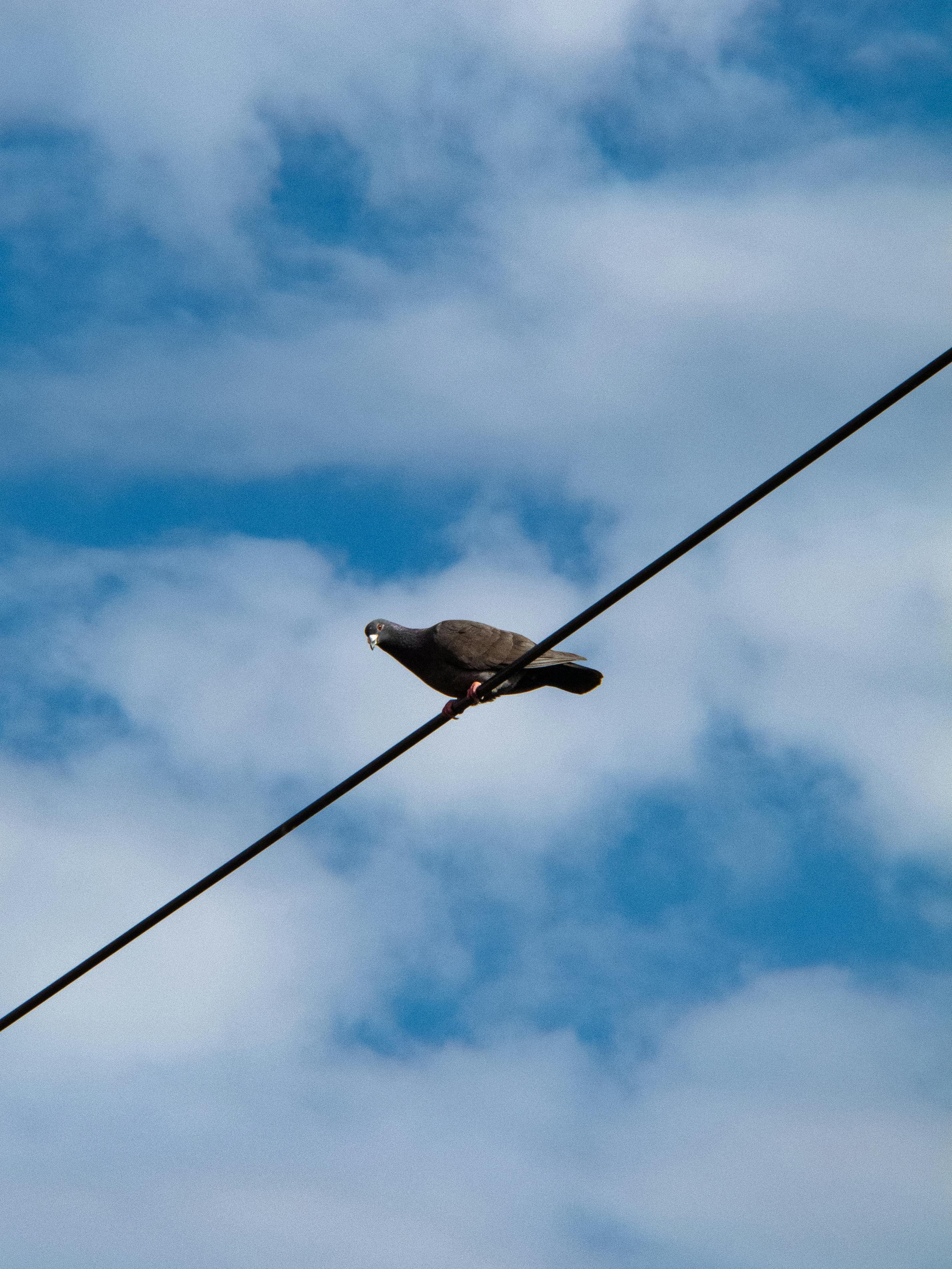 台灣彩券2月盈餘破47億！🎉