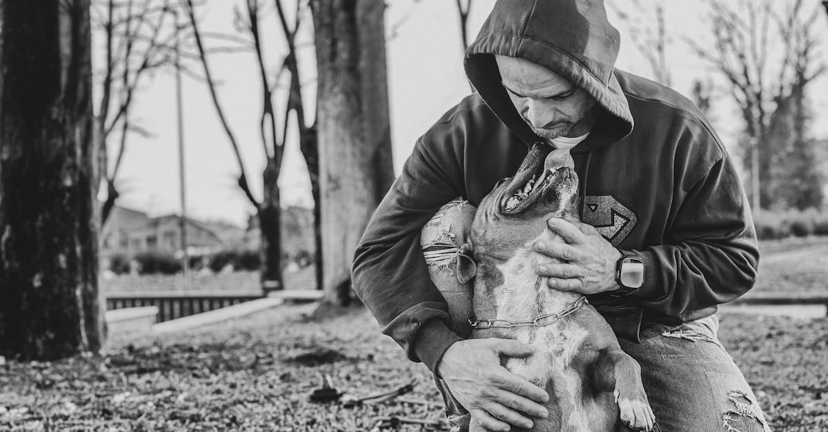 川普時代債市新機遇:策略性投資BBB級債券解析