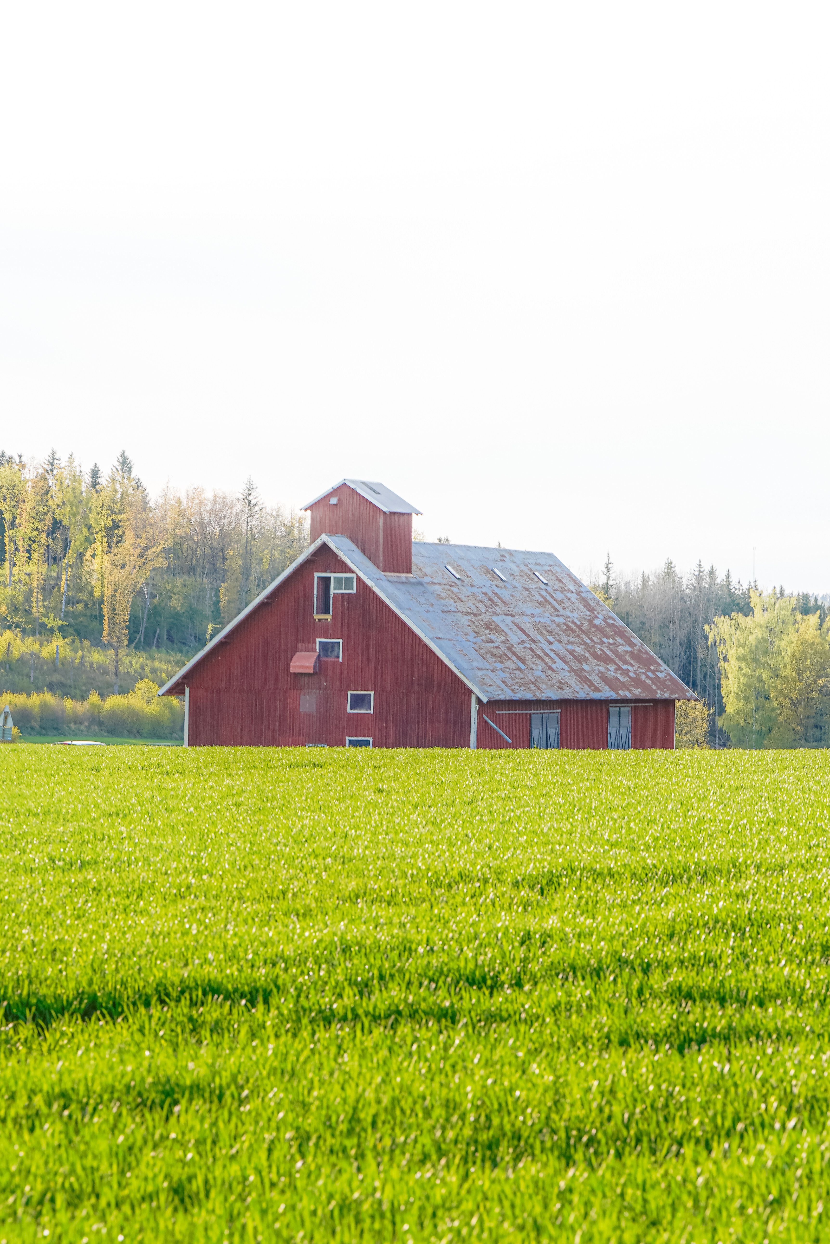 Scenic Red Barn in Lush Green Field · Free Stock Photo