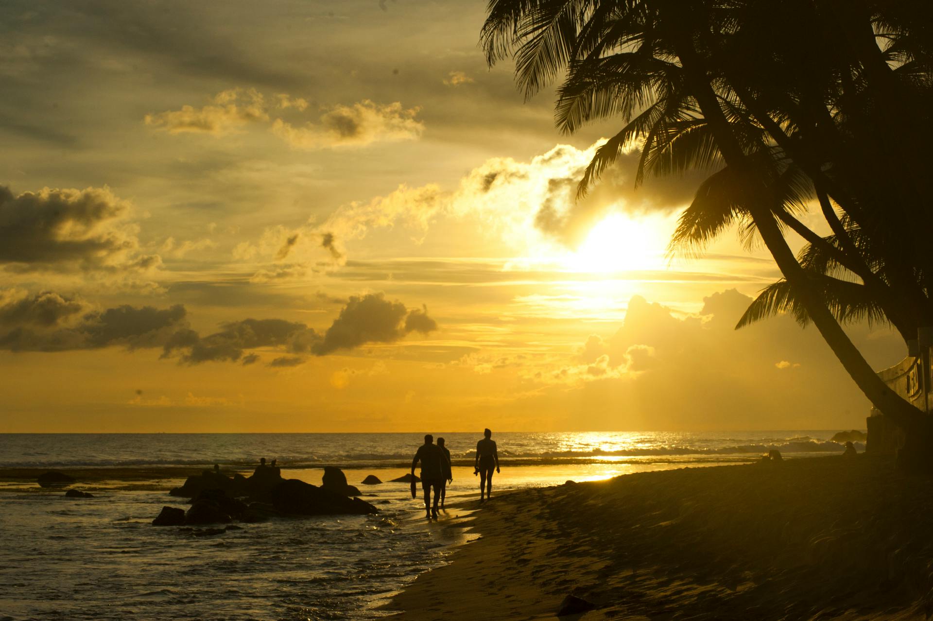 Peaceful sunset on a tropical beach in Unawatuna, Sri Lanka with palm trees and ocean views.