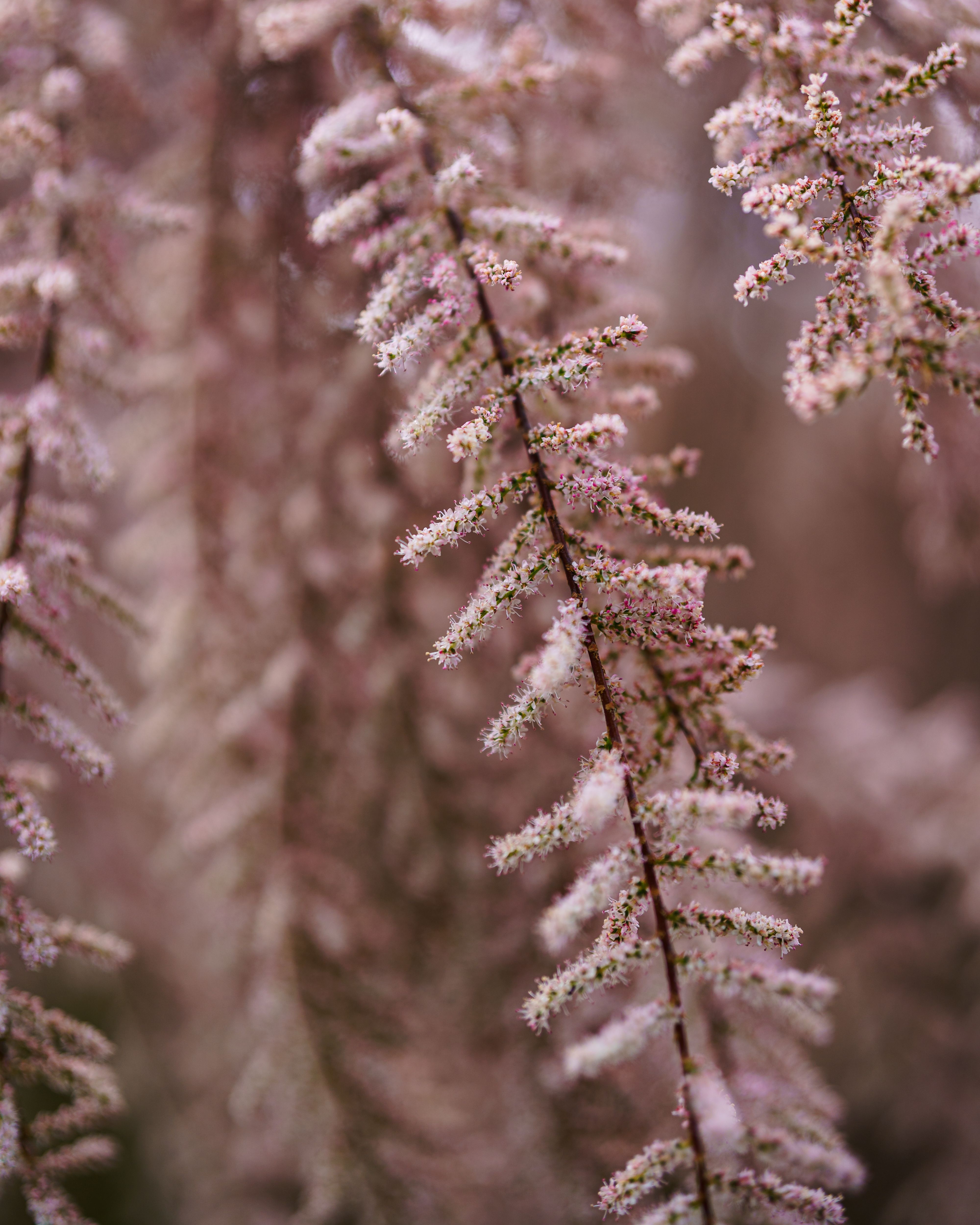 Hdf Texture Photos, Download The BEST Free Hdf Texture Stock Photos ...