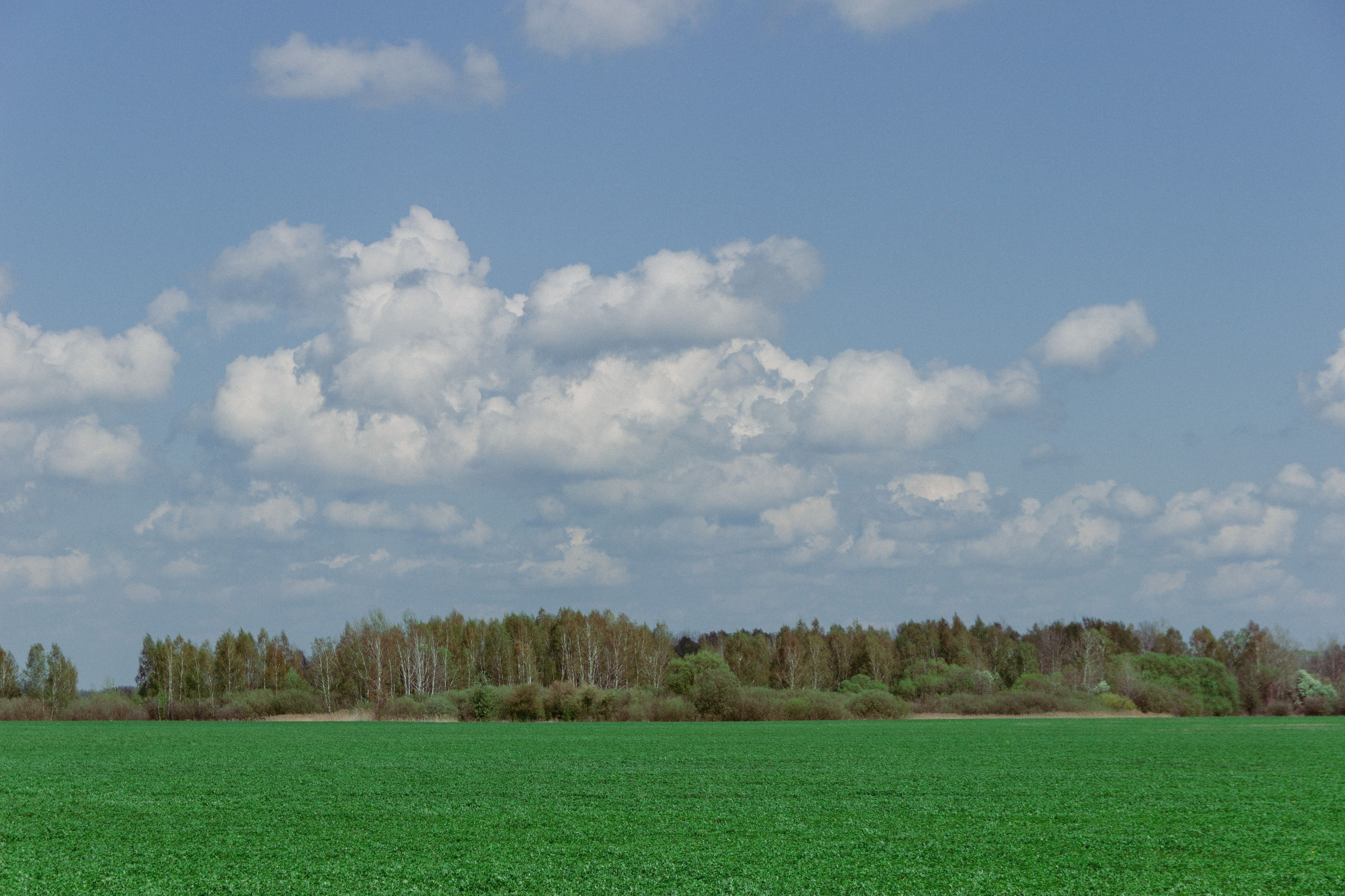 Lush Green Field under Blue Sky with Clouds · Free Stock Photo