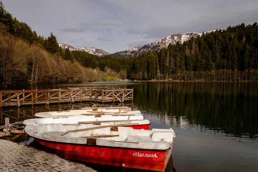 Tranquil lake in Artvin, Türkiye with boats and forested mountains in spring.