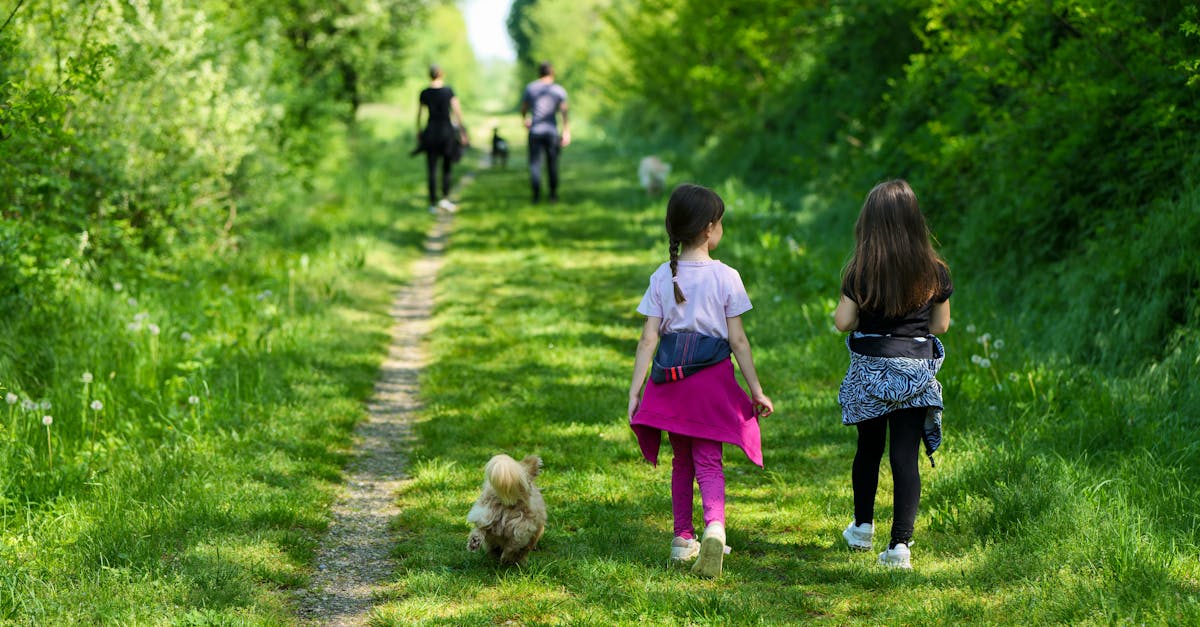 川普時代債市新機遇:策略性投資BBB級債券解析