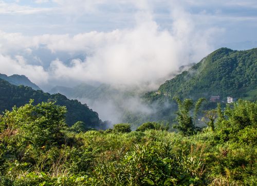 Free Breathtaking view of misty mountains in Pinglin District, Taiwan. Stock Photo