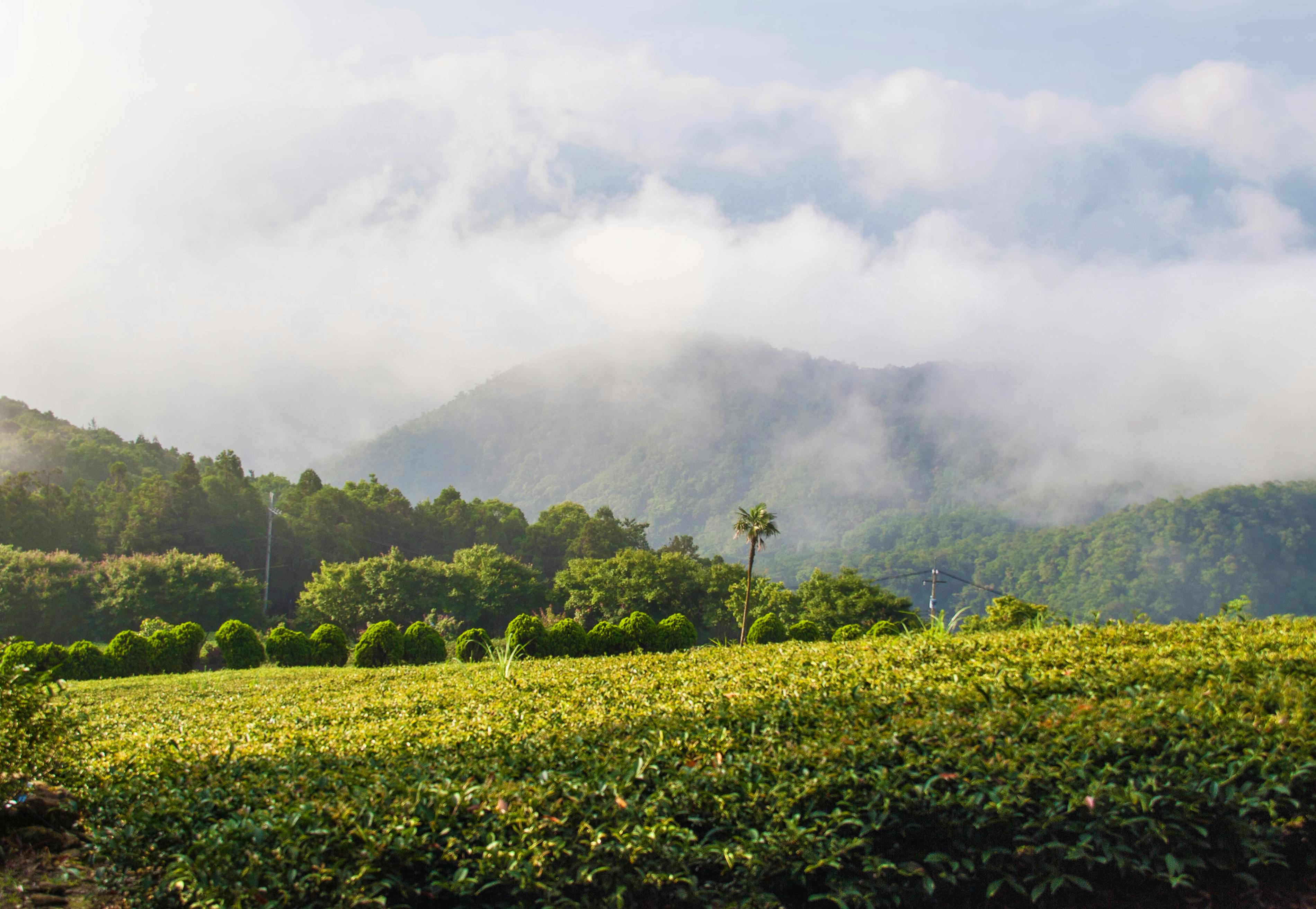 台灣彩券2月盈餘破47億！🎉