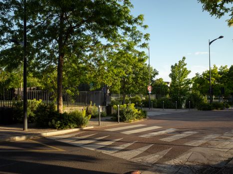 Peaceful urban street scene in Compiègne, France with trees and crosswalk under sunlight.