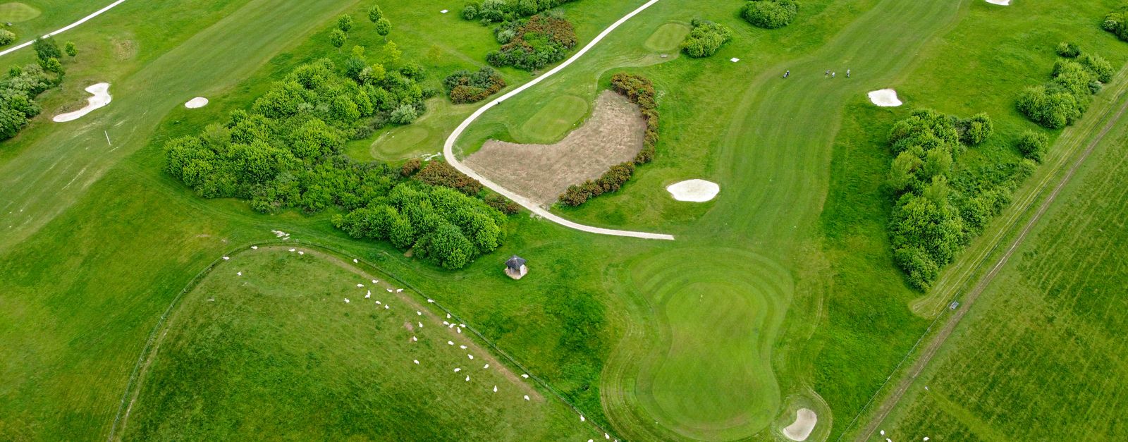 Aerial view of a green golf course surrounded by trees and pastures, ideal for outdoor and nature enthusiasts.