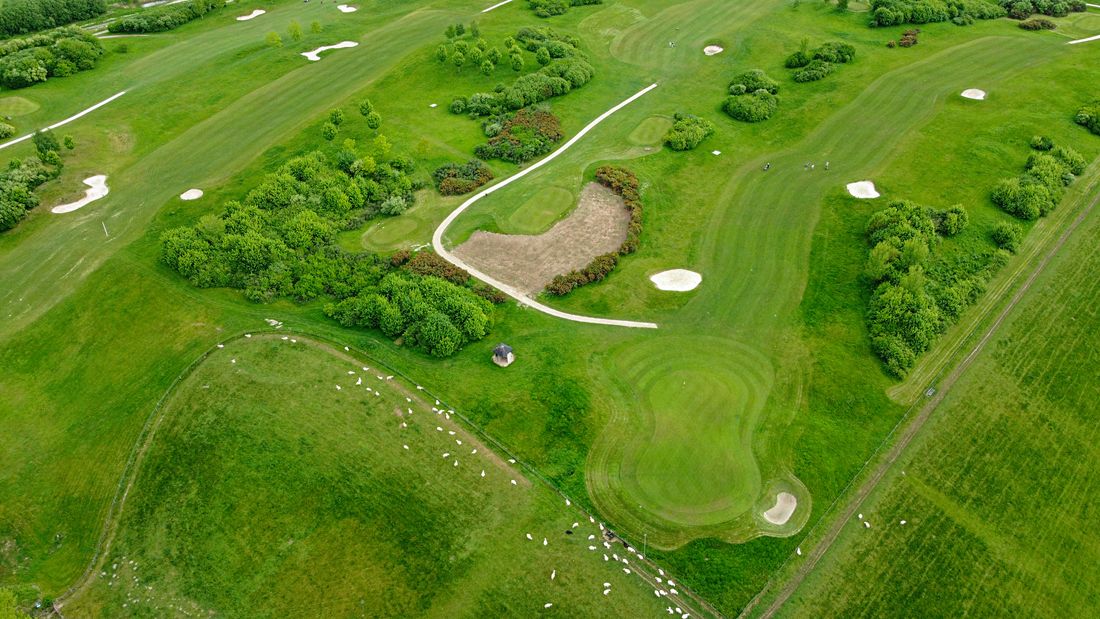 Aerial view of a lush green golf course lined with trees