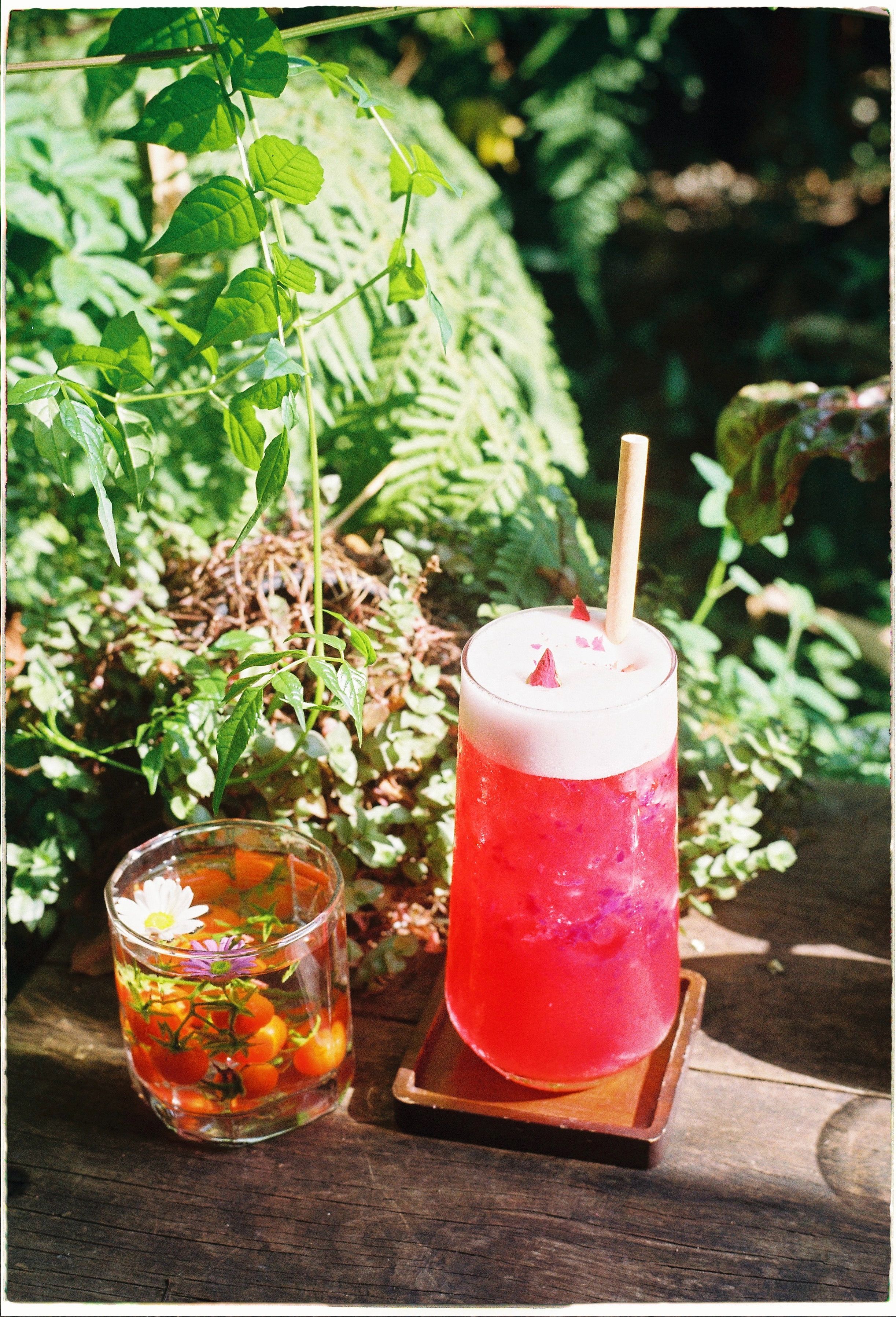 Two vibrant cocktails with floral garnishes in a lush garden setting.