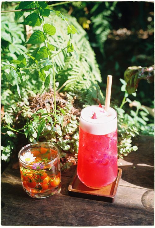 Free Two vibrant cocktails with floral garnishes in a lush garden setting. Stock Photo