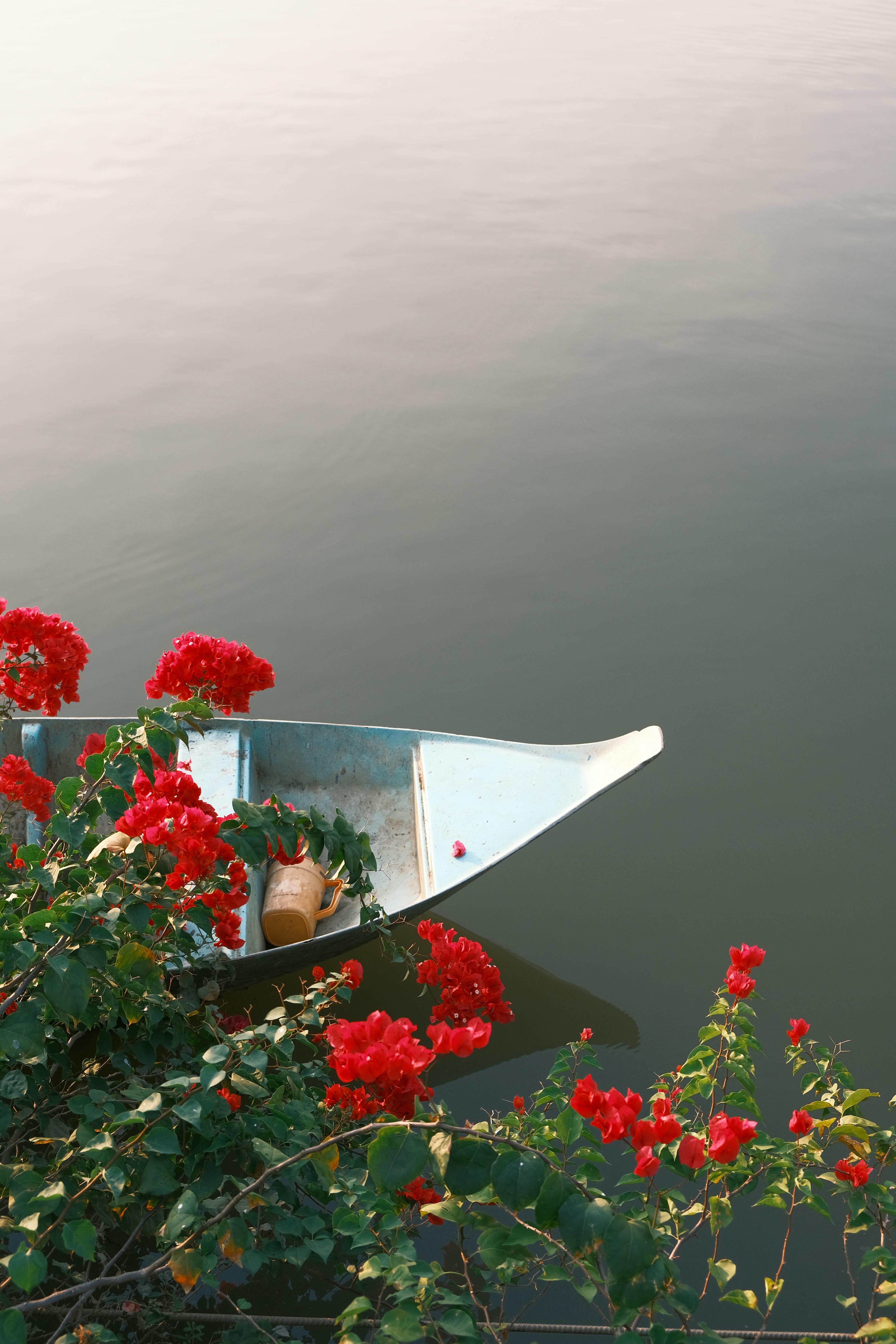 Canoe gently floating beside vivid red flowers on a tranquil river, evoking serenity.