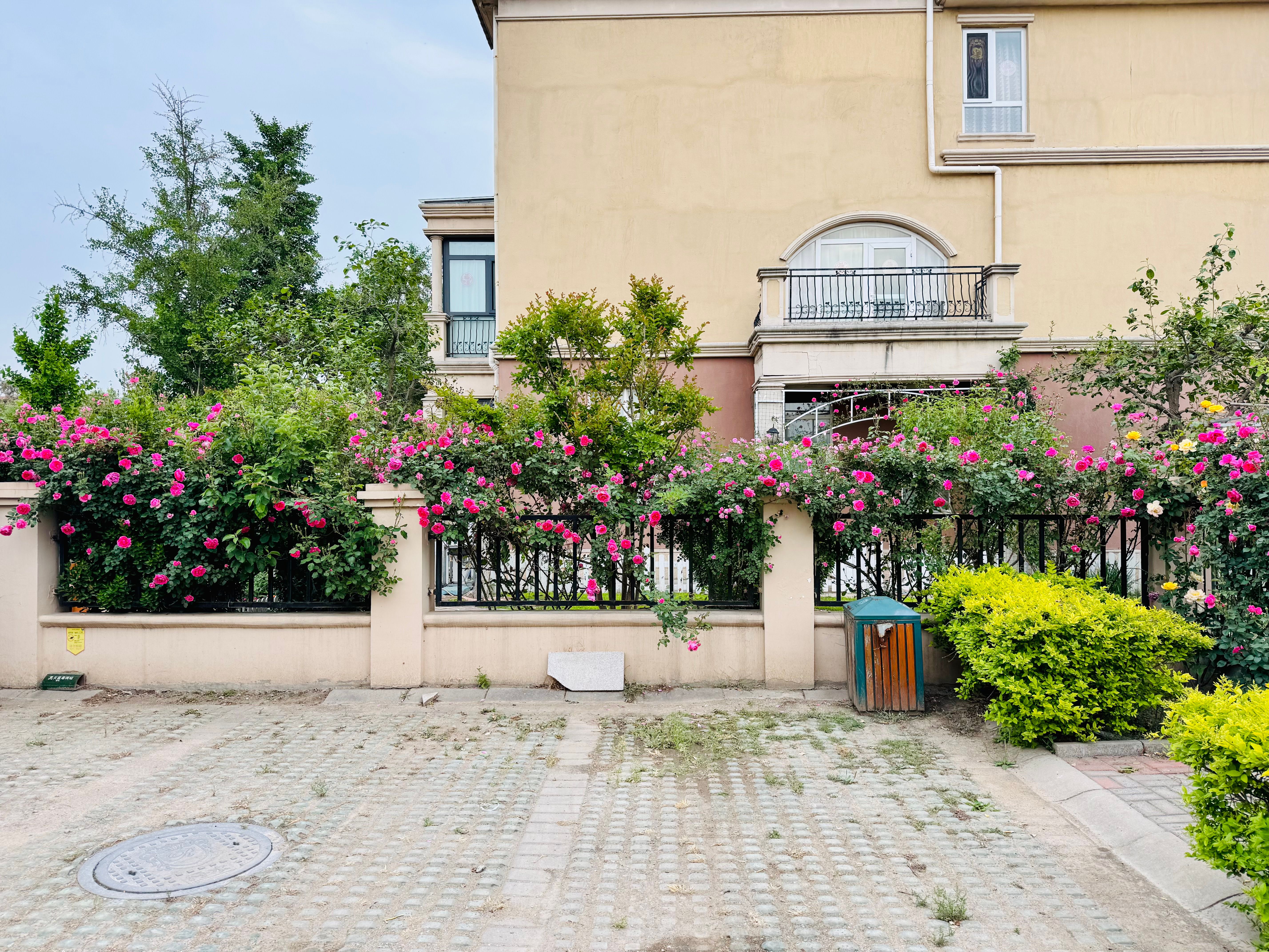 Cómo seleccionar las mejores plantas para tu jardín