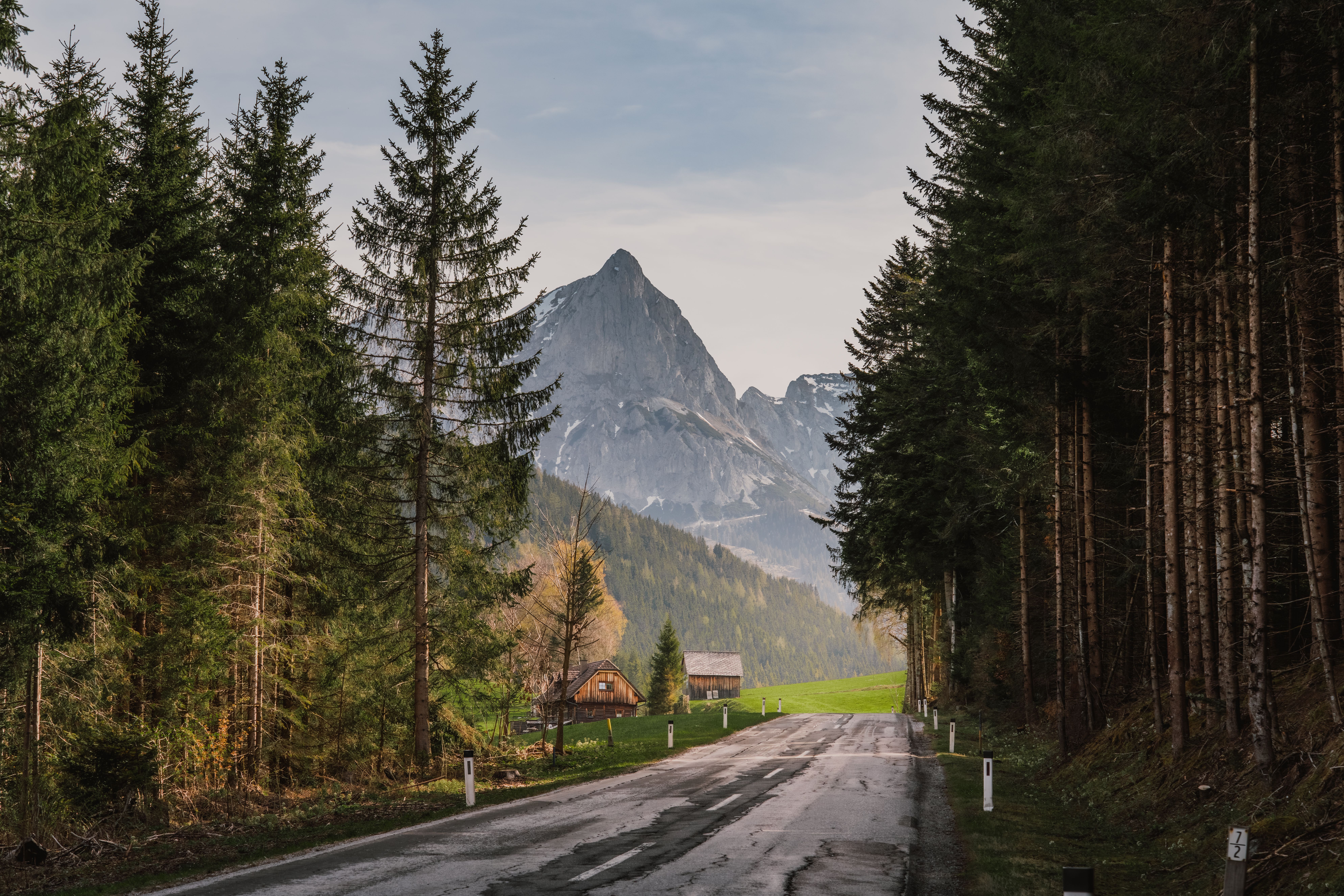 A picturesque mountain road winding through an alpine forest with dramatic peaks in the background.