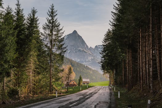 A picturesque mountain road winding through an alpine forest with dramatic peaks in the background.
