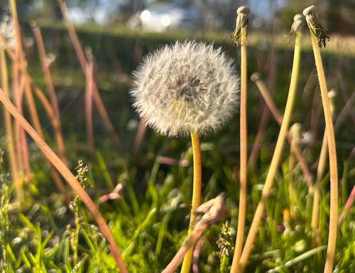 Free Park Photos Stock Photo
