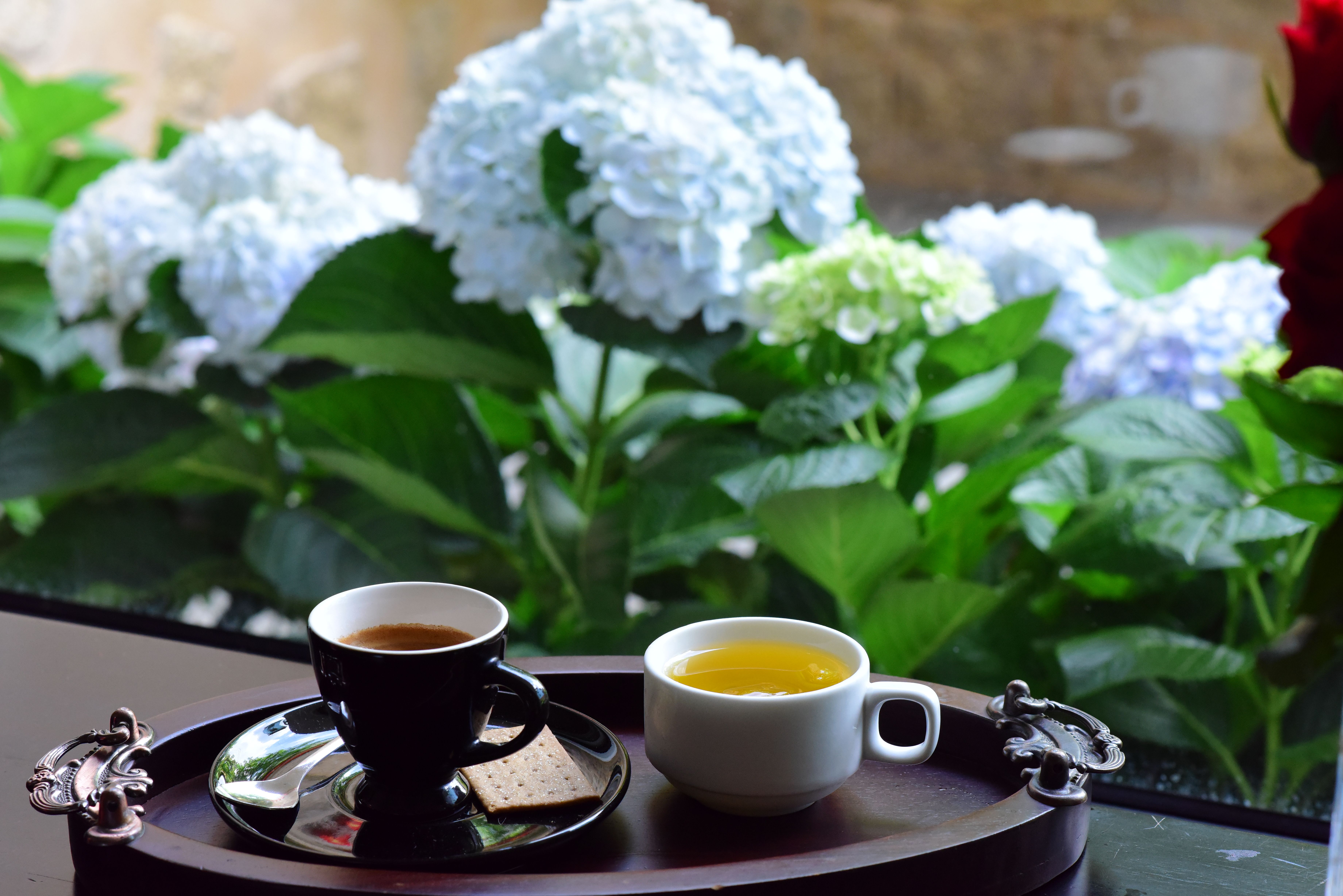 Cozy Tea and Coffee with Hydrangeas View · Free Stock Photo