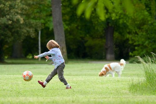 Free A young child kicks a soccer ball in a green park while a dog explores nearby. Stock Photo