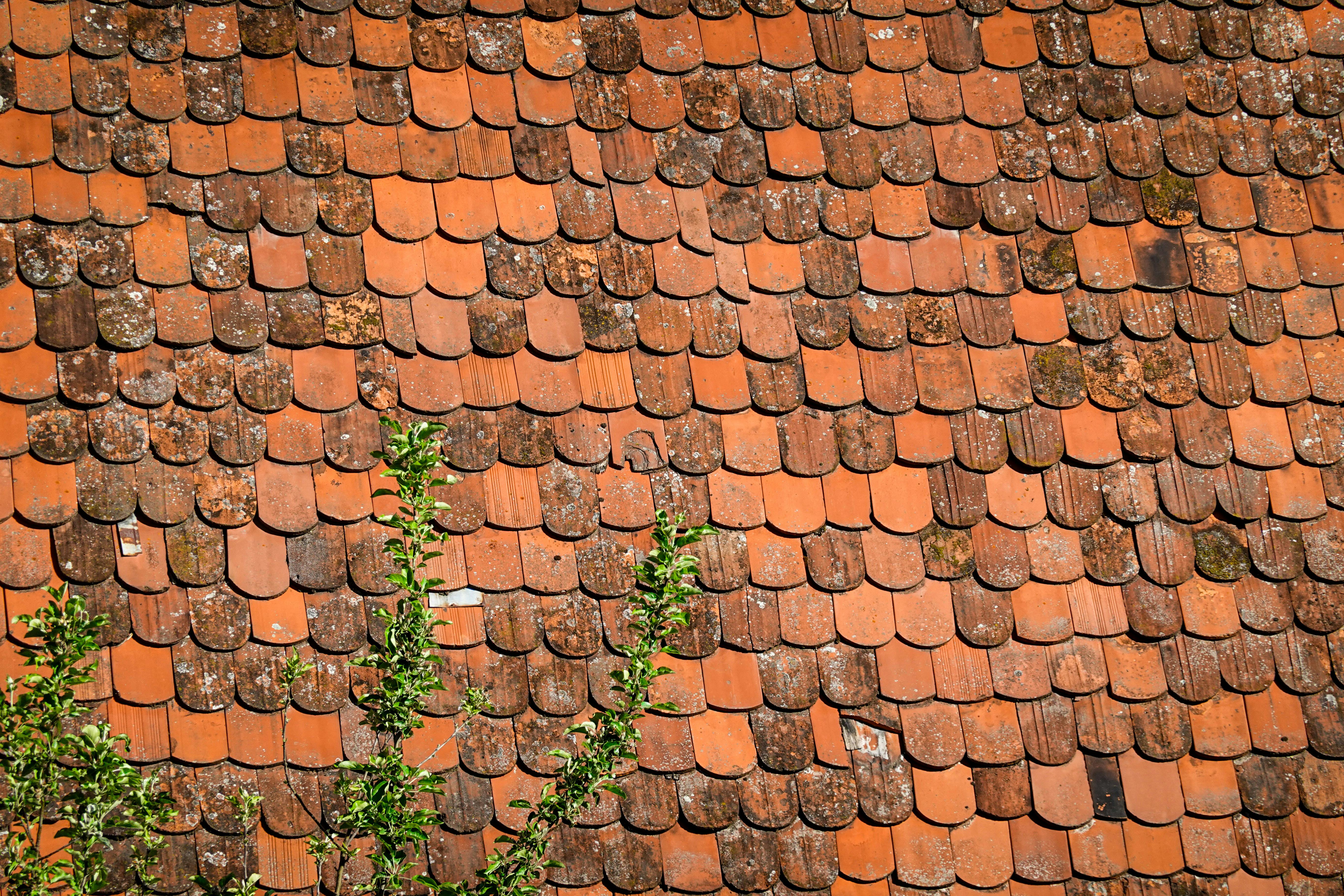 Terracotta clay roof tiles