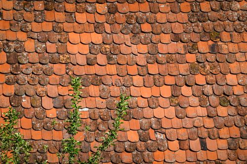 Free Close-up of rustic terracotta roof tiles with natural moss texture and green plants Stock Photo