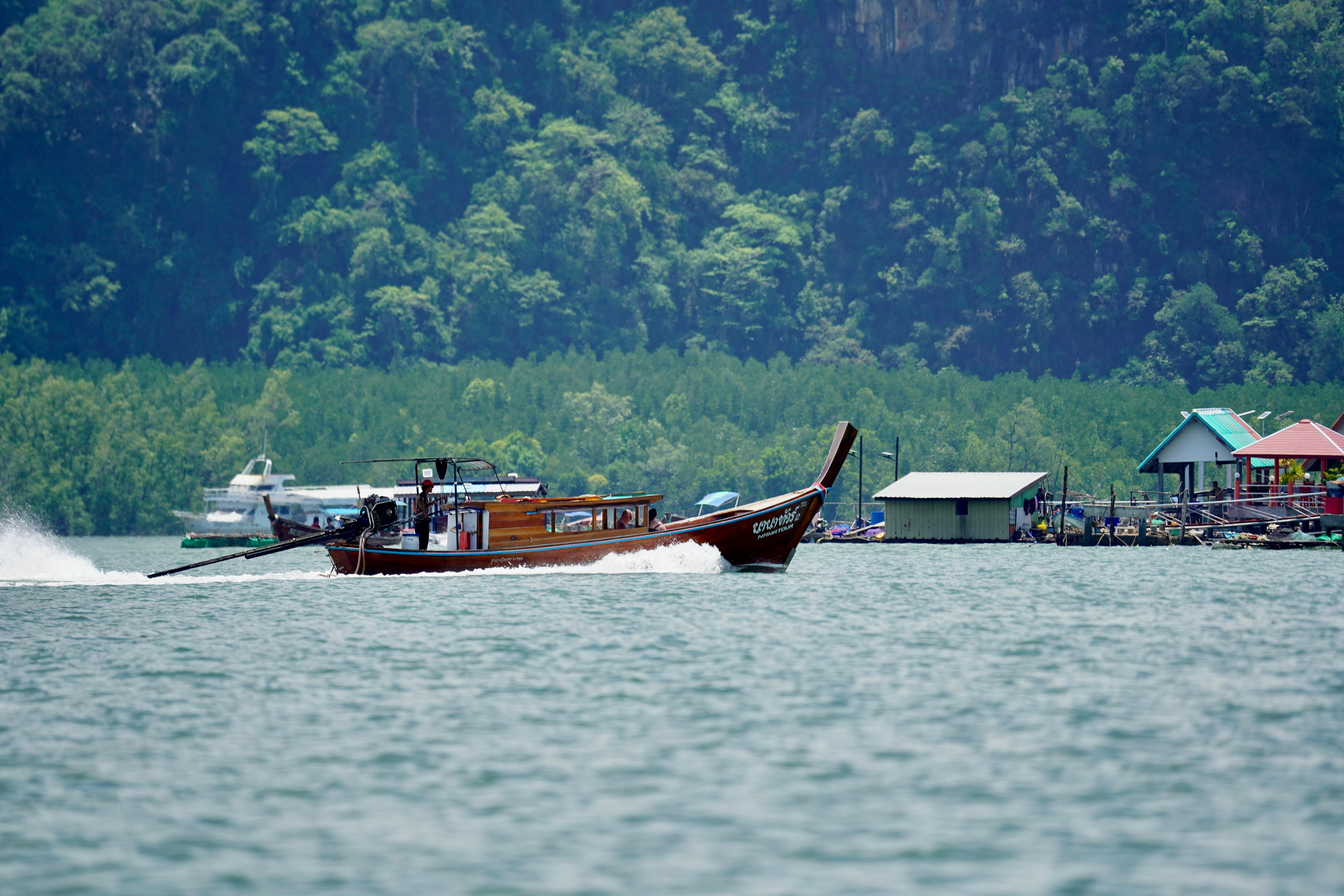 Free boat rides, health camps mark Women’s Day fete — Photo by Жанна  Алимкулова on Pexels