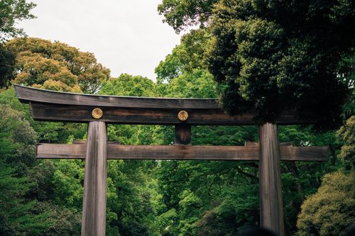 Free Majestic wooden Torii gate surrounded by lush greenery in Tokyo, Japan. Stock Photo