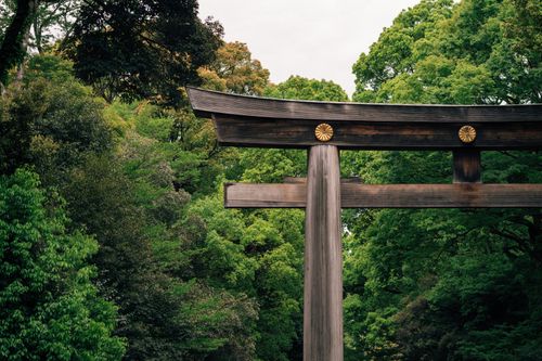 Free A serene view of a traditional Japanese torii gate among lush trees in Tokyo, Japan. Stock Photo