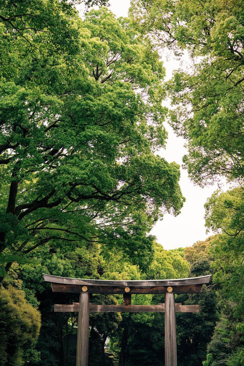 Meiji Shrine