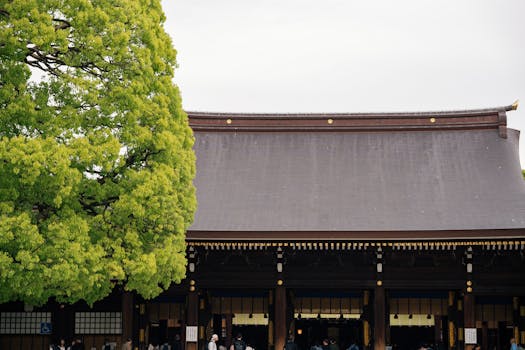 Tokyo, Japan photo 16