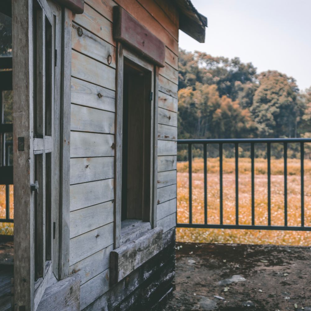 Fence and Decking Painting in Lambeth — careful masking before painting begins