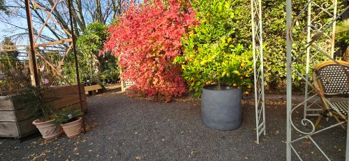Free Autumn fauna Stock Photo
