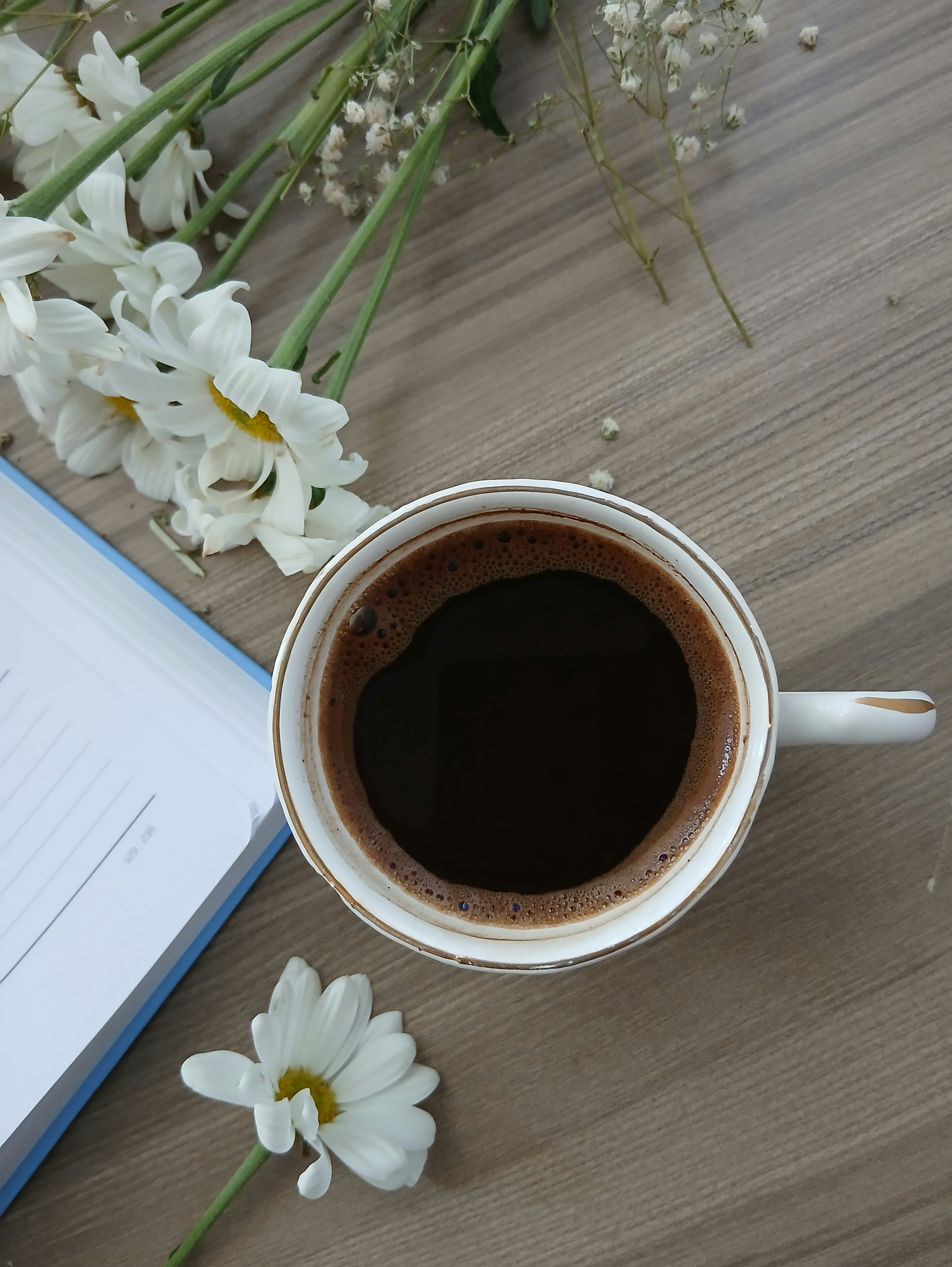 Coffee Beg Photos, Download The BEST Free Coffee Beg Stock Photos & HD ...