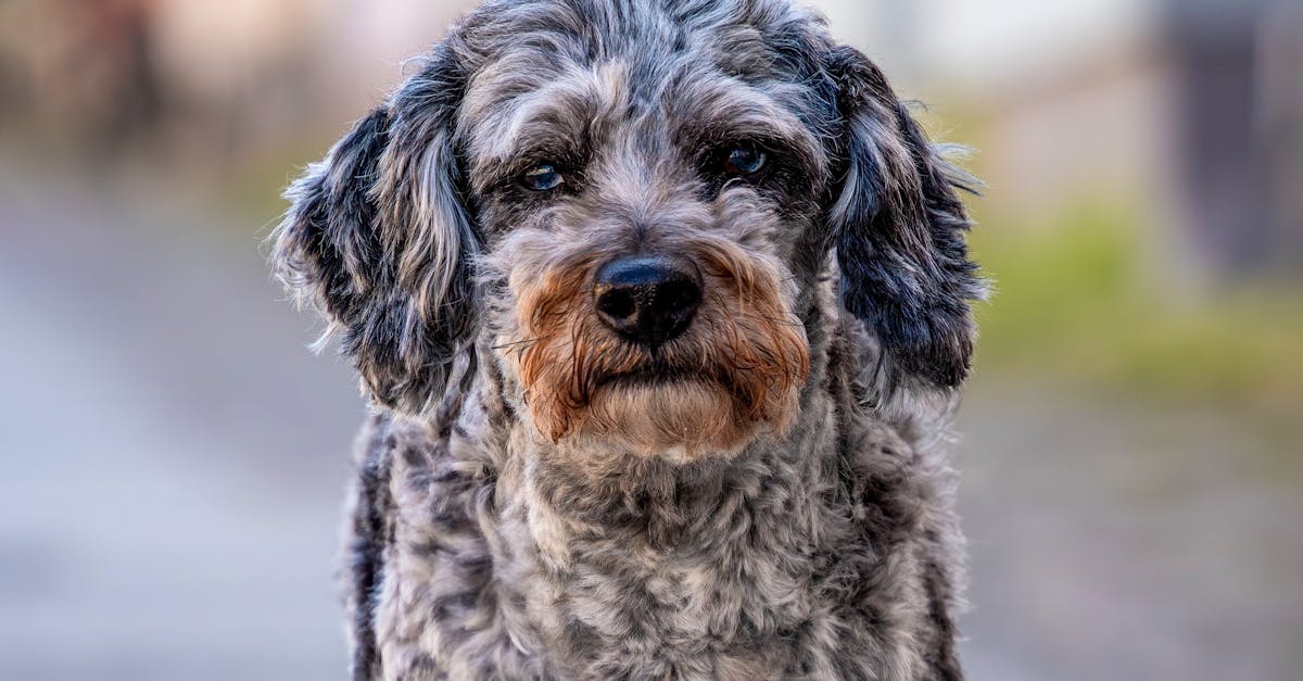 慶祝2025國際護師節 致敬白衣天使守護植物人尊嚴