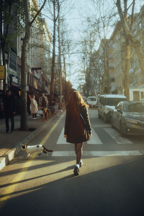 Free A woman with long hair crosses a street in a sunlit cityscape, accompanied by a black and white cat. Stock Photo