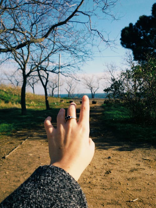 Free Woman Hand on Bare Tree Against Sky Stock Photo