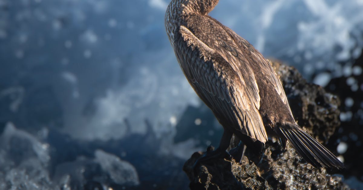花蓮國際疊石藝術季 感受七星潭山海之美