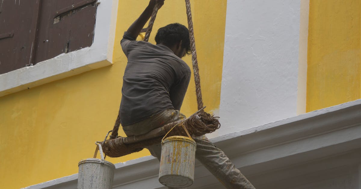 慶祝2025國際護師節 致敬白衣天使守護植物人尊嚴