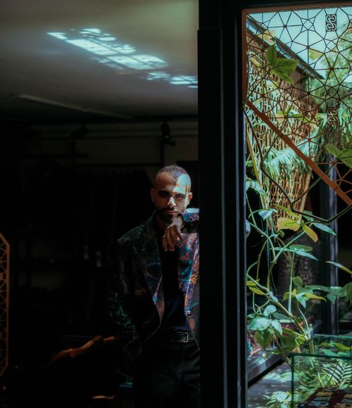 Free Portrait of a man in an artistic, dimly lit indoor setting with foliage and unique lighting. Stock Photo