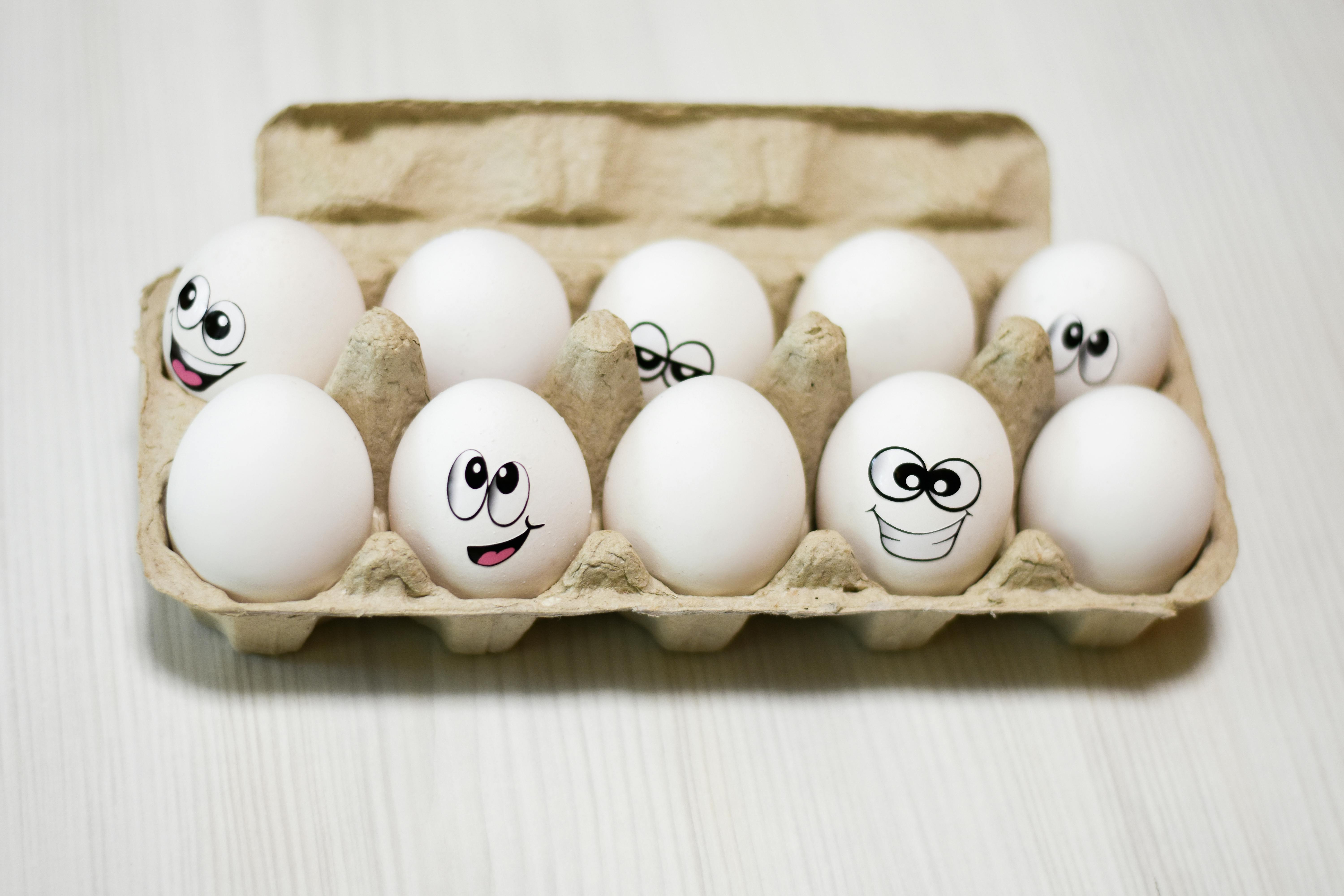 Best Fridge Egg Organizers 2026: 12 & 24-Egg Picks