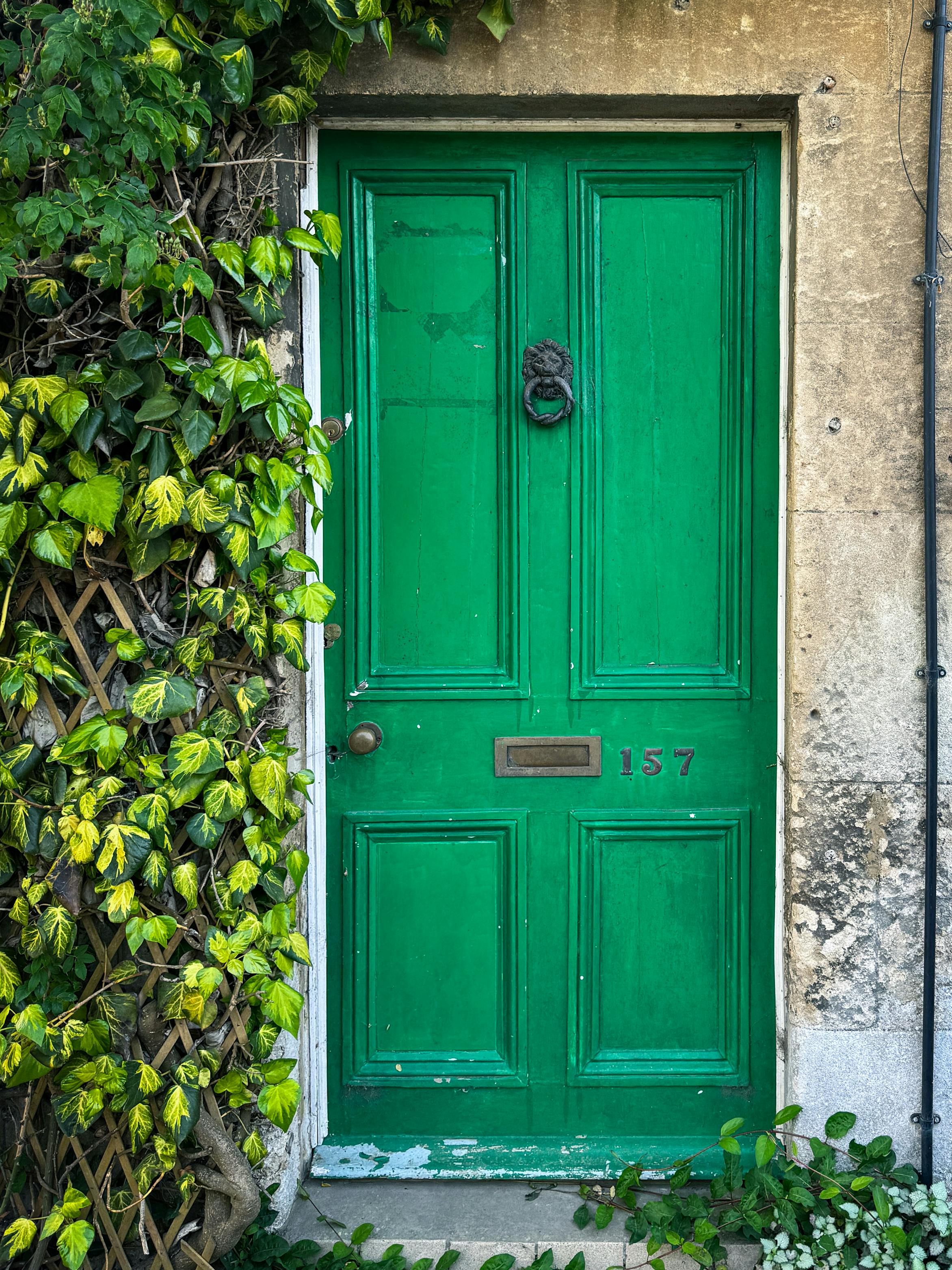 Vibrant green door in Avoncliff, framed by lush ivy on a rustic stone cottage.