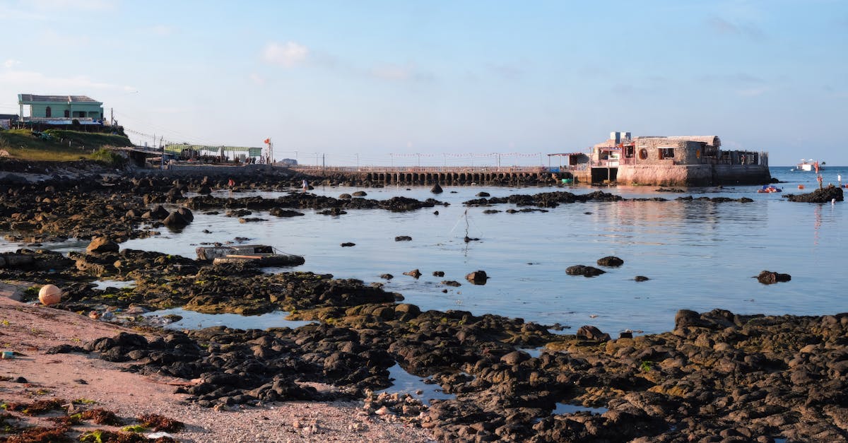 響應國際生物多樣性日 台電攜手澎縣府放流魚苗蝦螺守護海洋生態