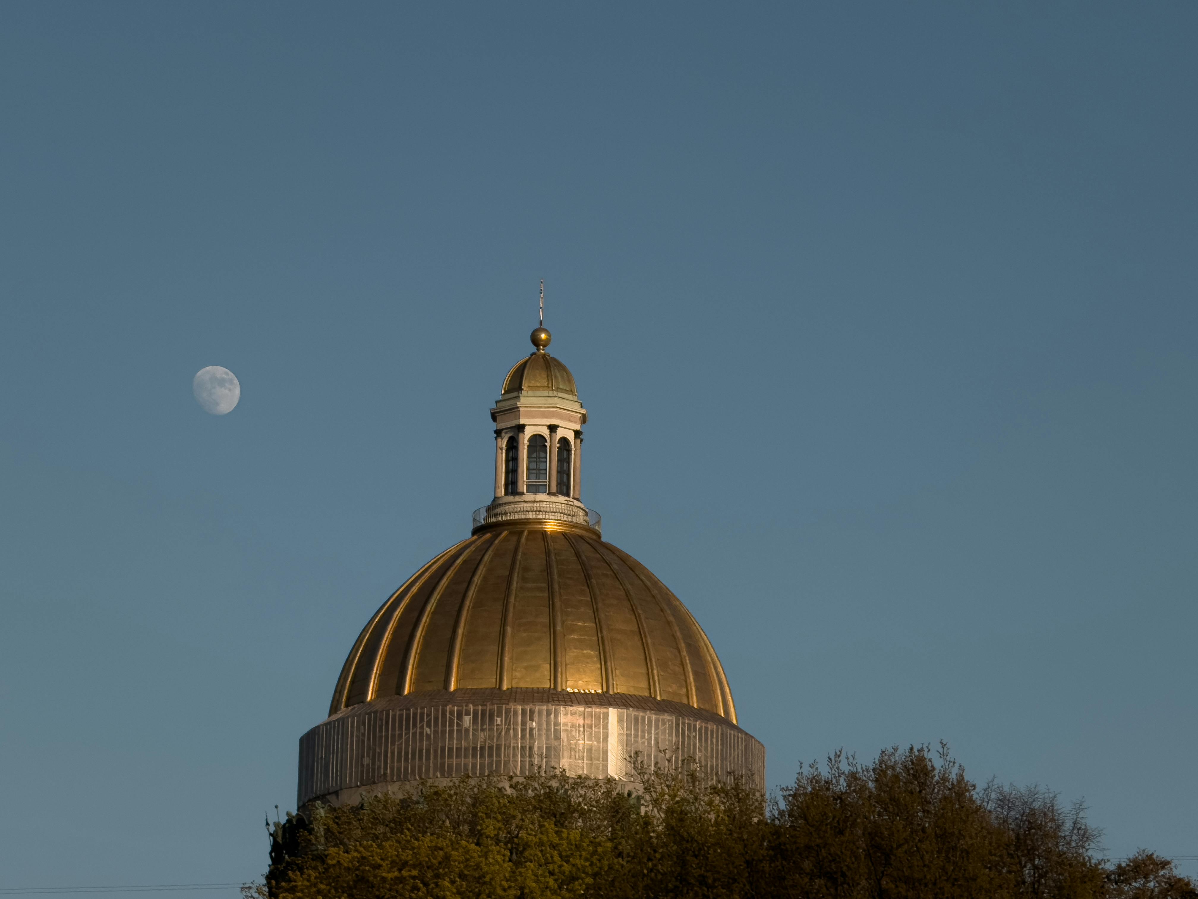 Maine college adding online programs for cannabis certifications — Photo by Zhanna Filimonenko on Pexels