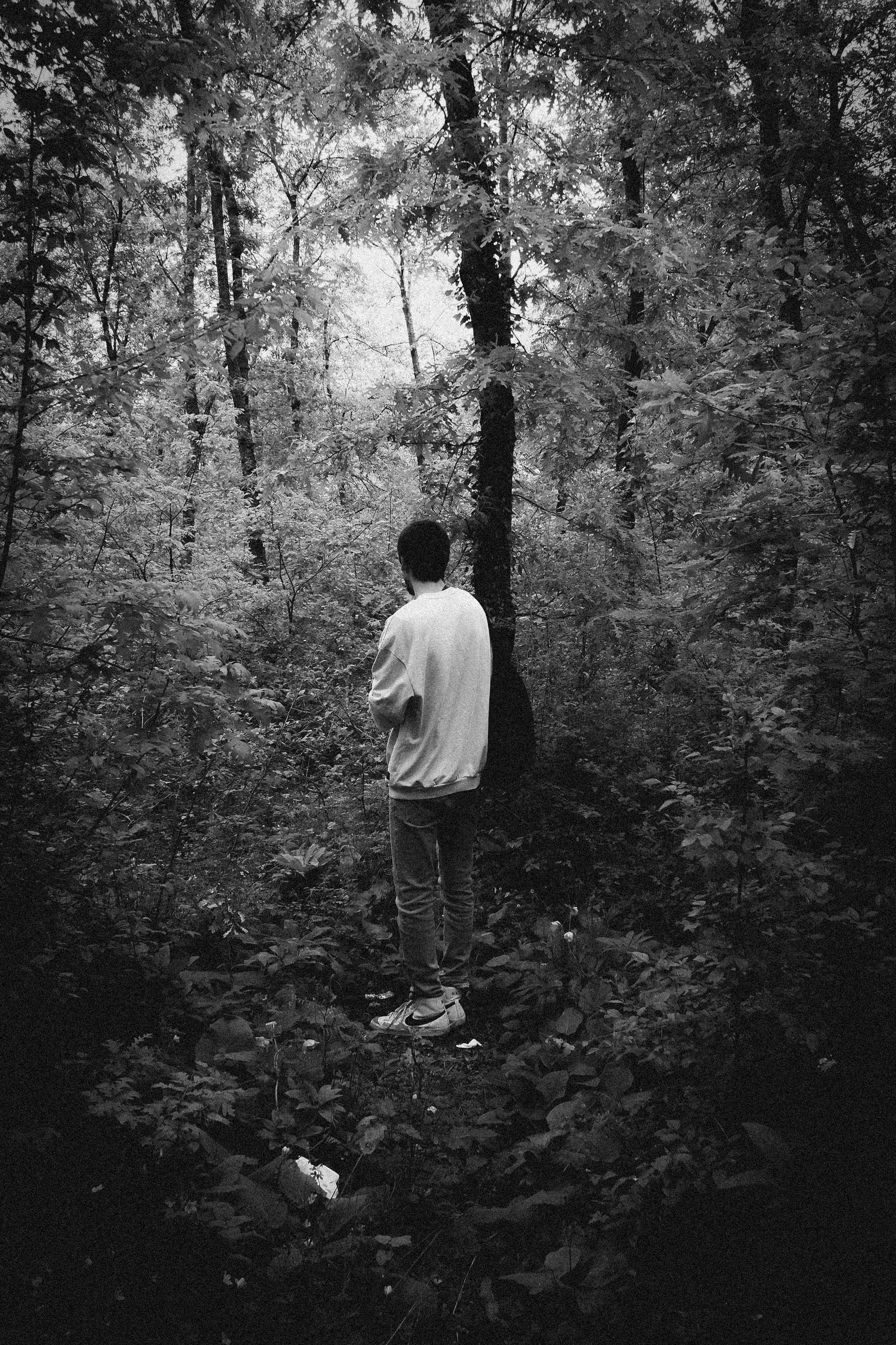 Big Back Photos, Download The BEST Free Big Back Stock Photos & HD Images