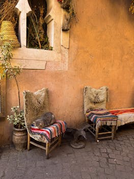 Charming Marrakech alleyway with a cat resting on colorful Moroccan woven chairs.