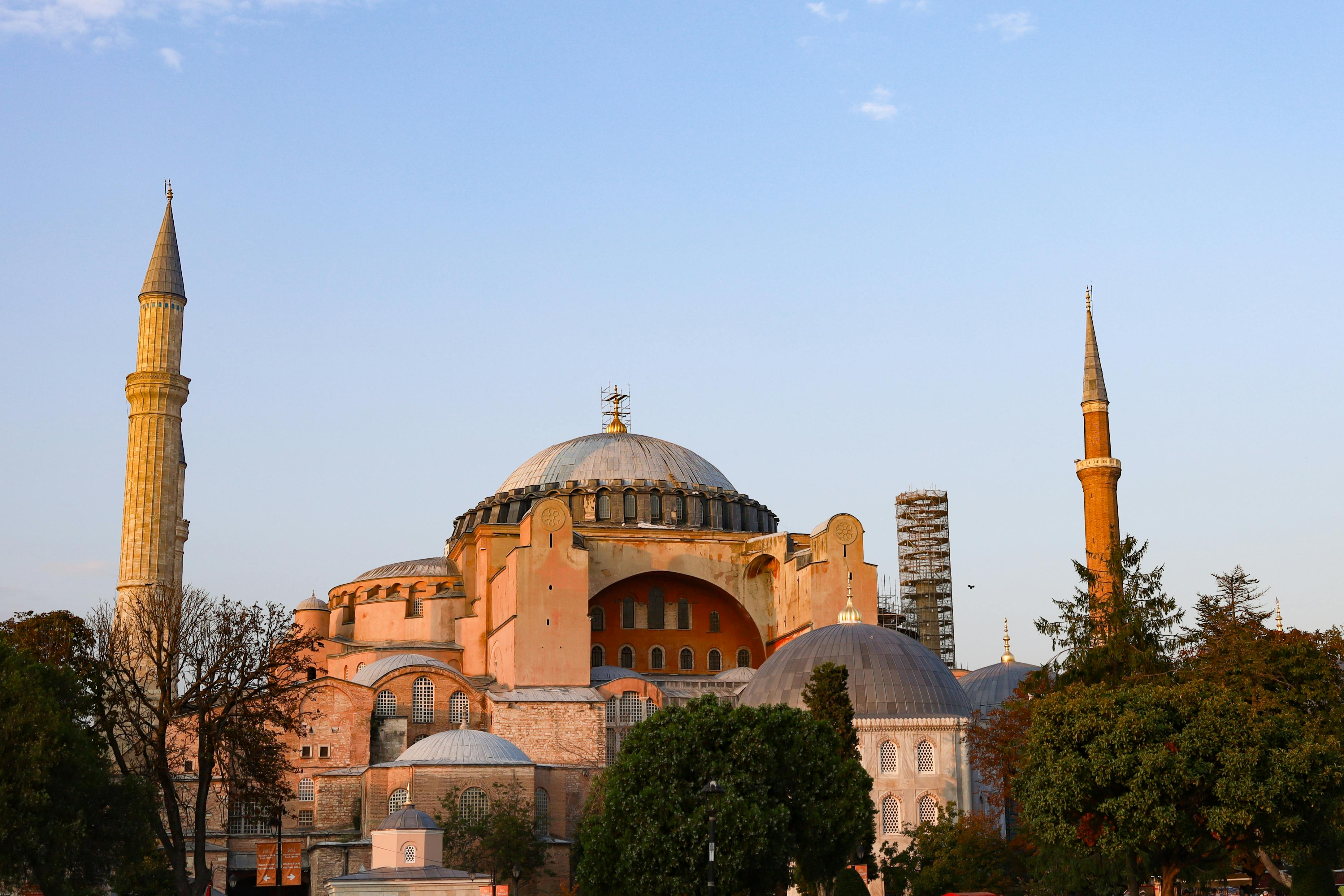 bahçe hazırlığı, sonbahar bahçe bakımı, kış bahçe bakımı - Detail