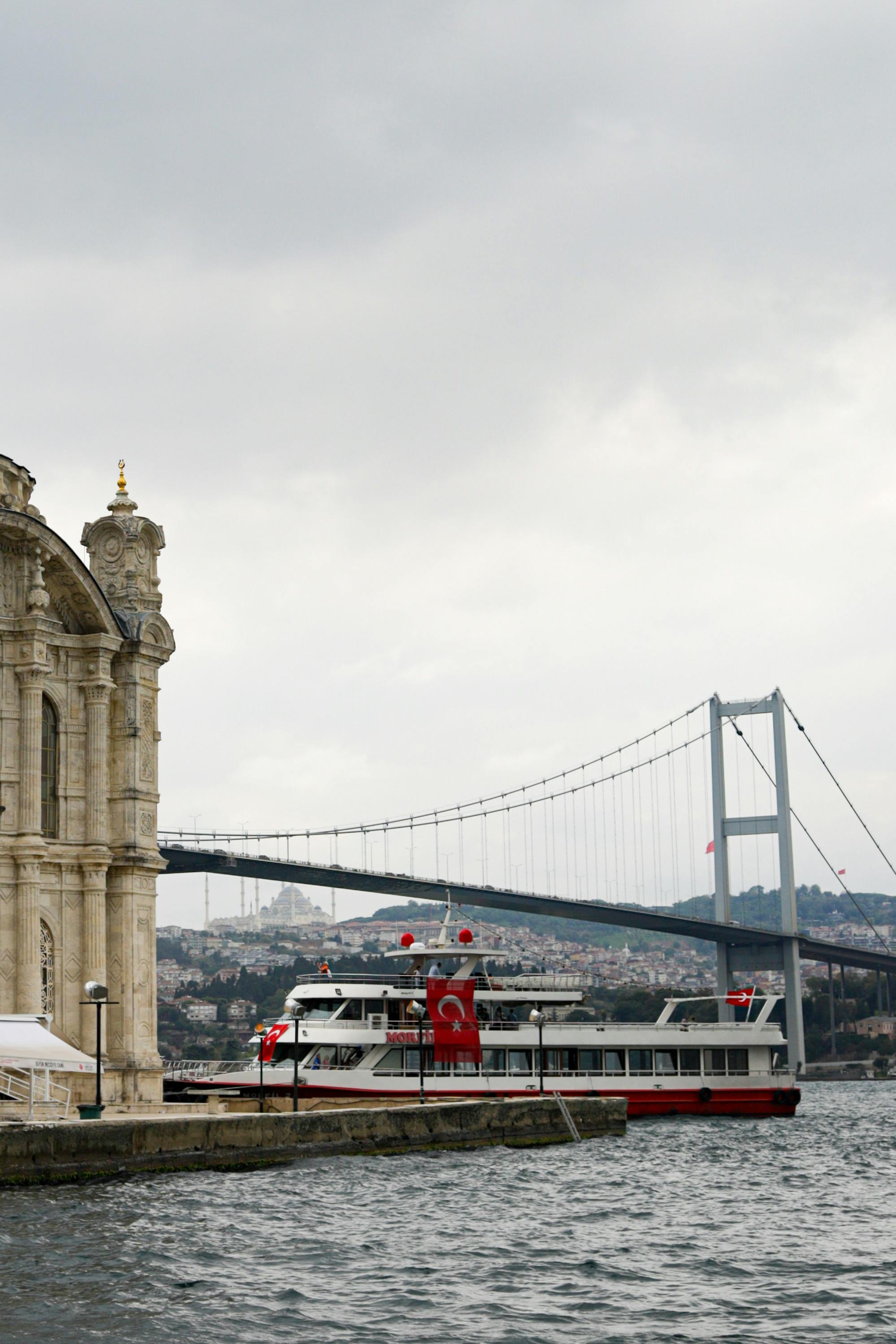 bahçe hazırlığı, sonbahar bahçe bakımı, kış bahçe bakımı