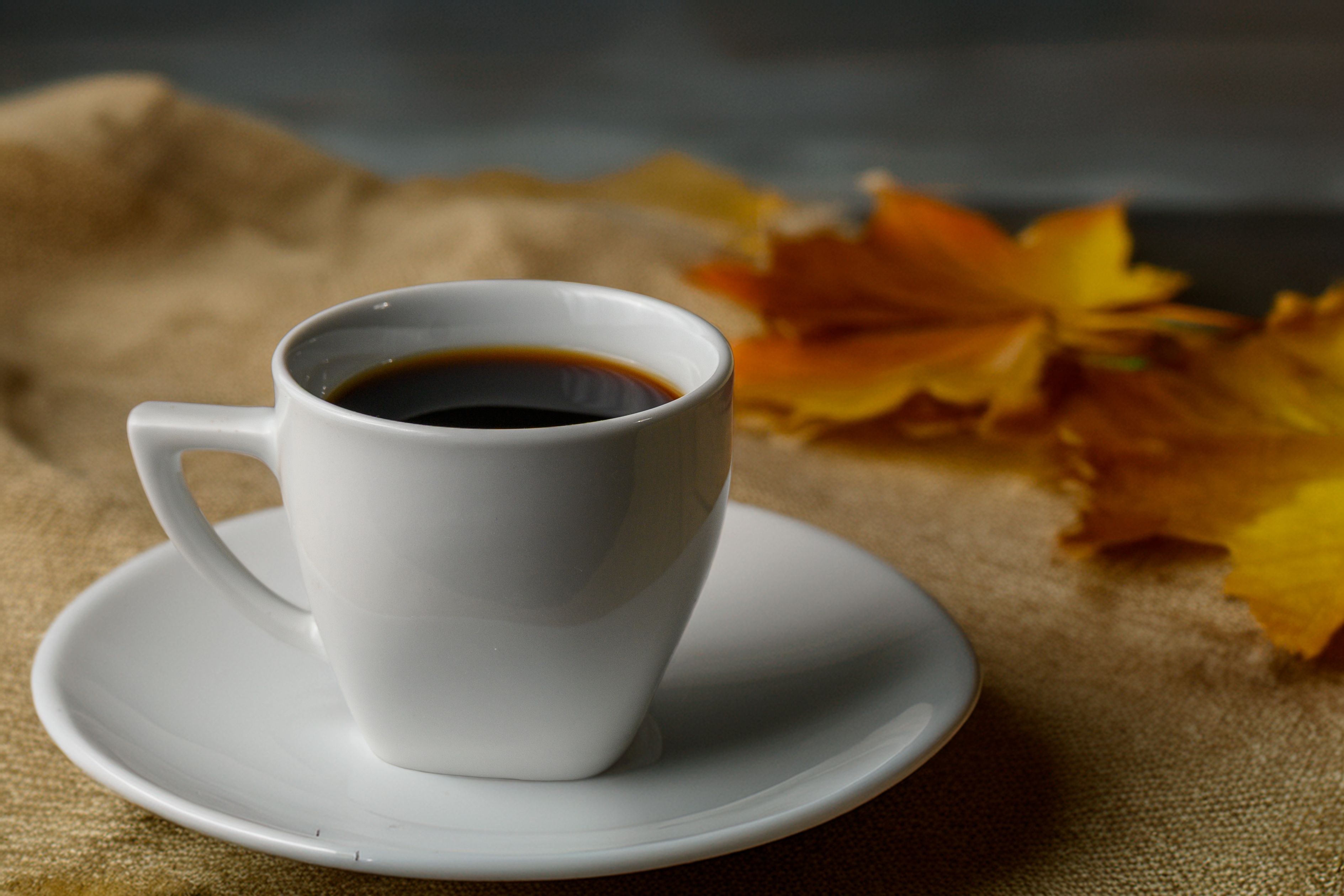 Does Coffee Make You Gain Weight? Here's What a Dietitian Has to Say — Photo by Christopher Welsch Leveroni on Pexels