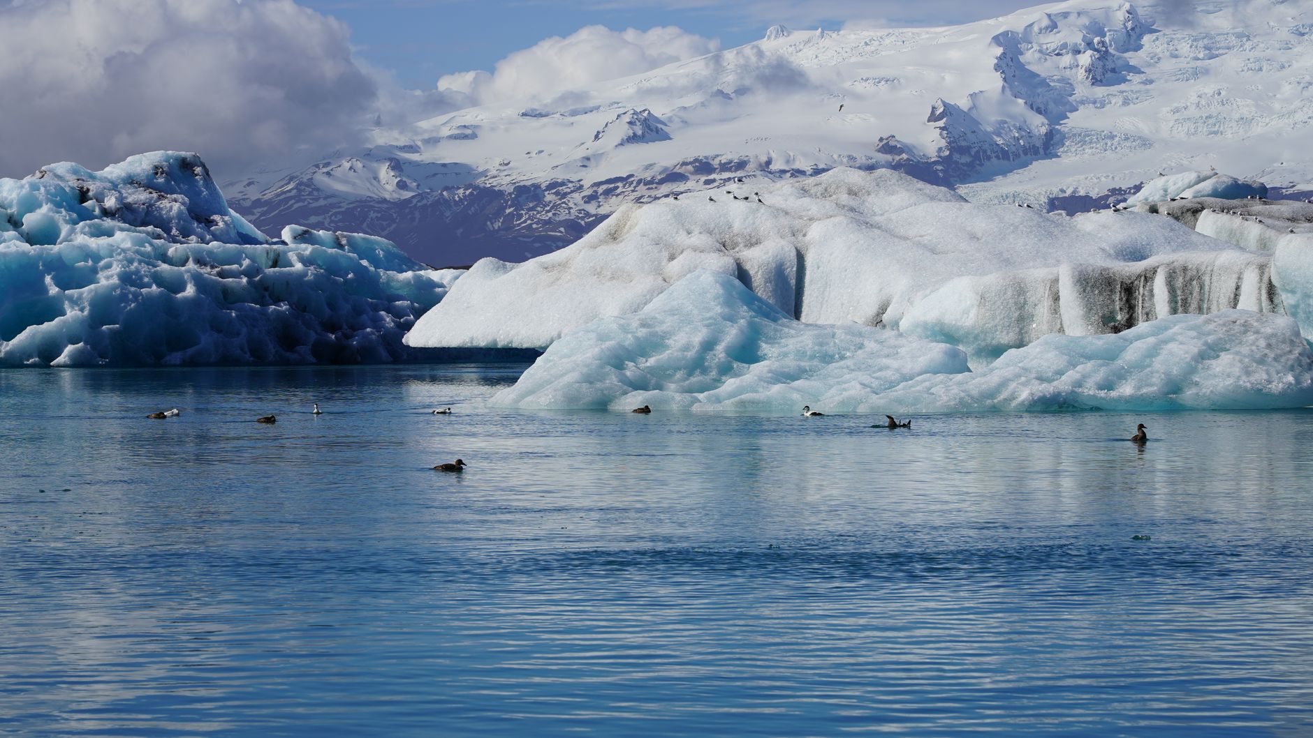 Icebergs floating in Jokulsarlon lagoon with glacier behind