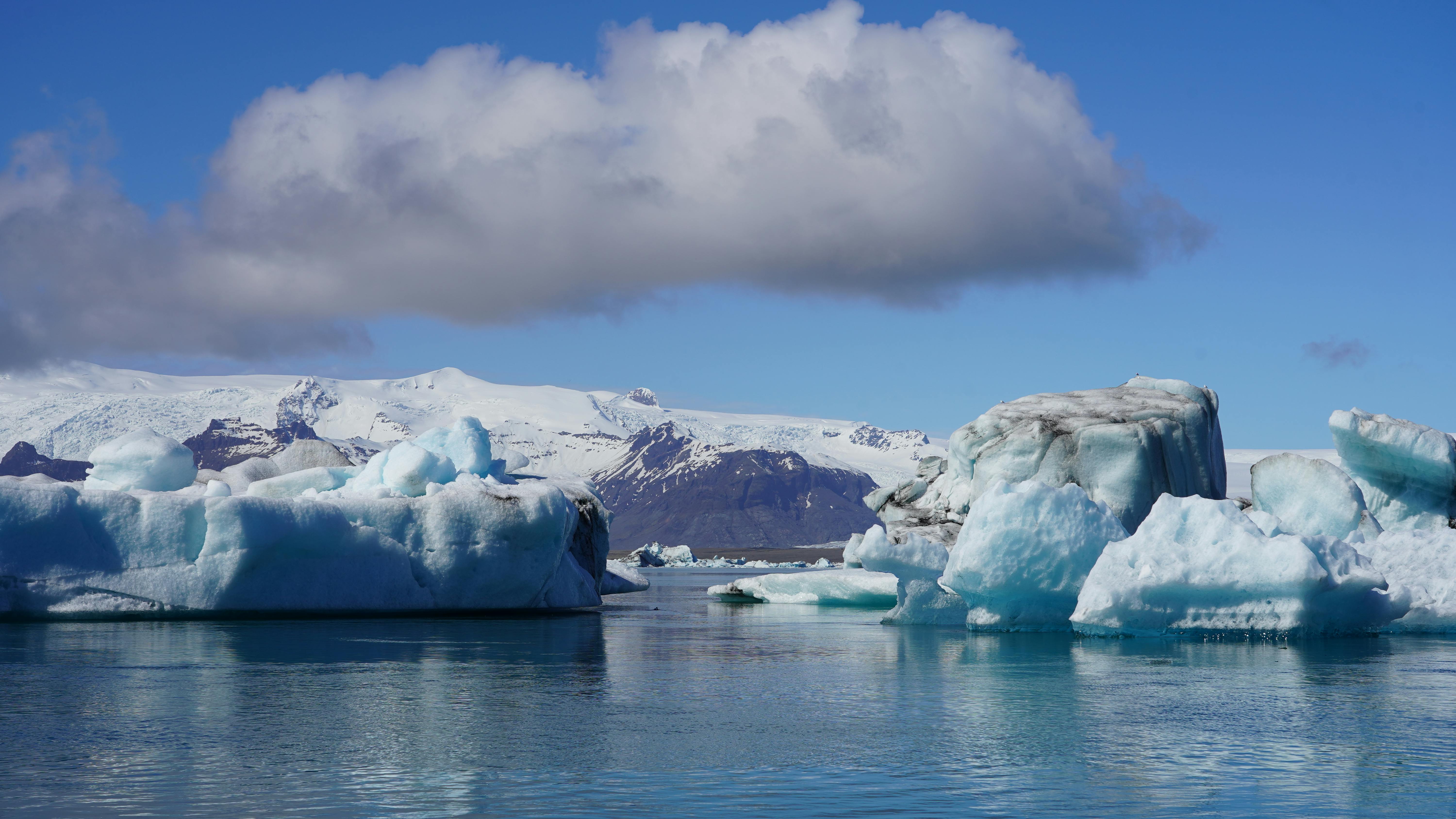 Majestic icebergs floating in a tranquil Icelandic glacier lagoon under a clear blue sky.