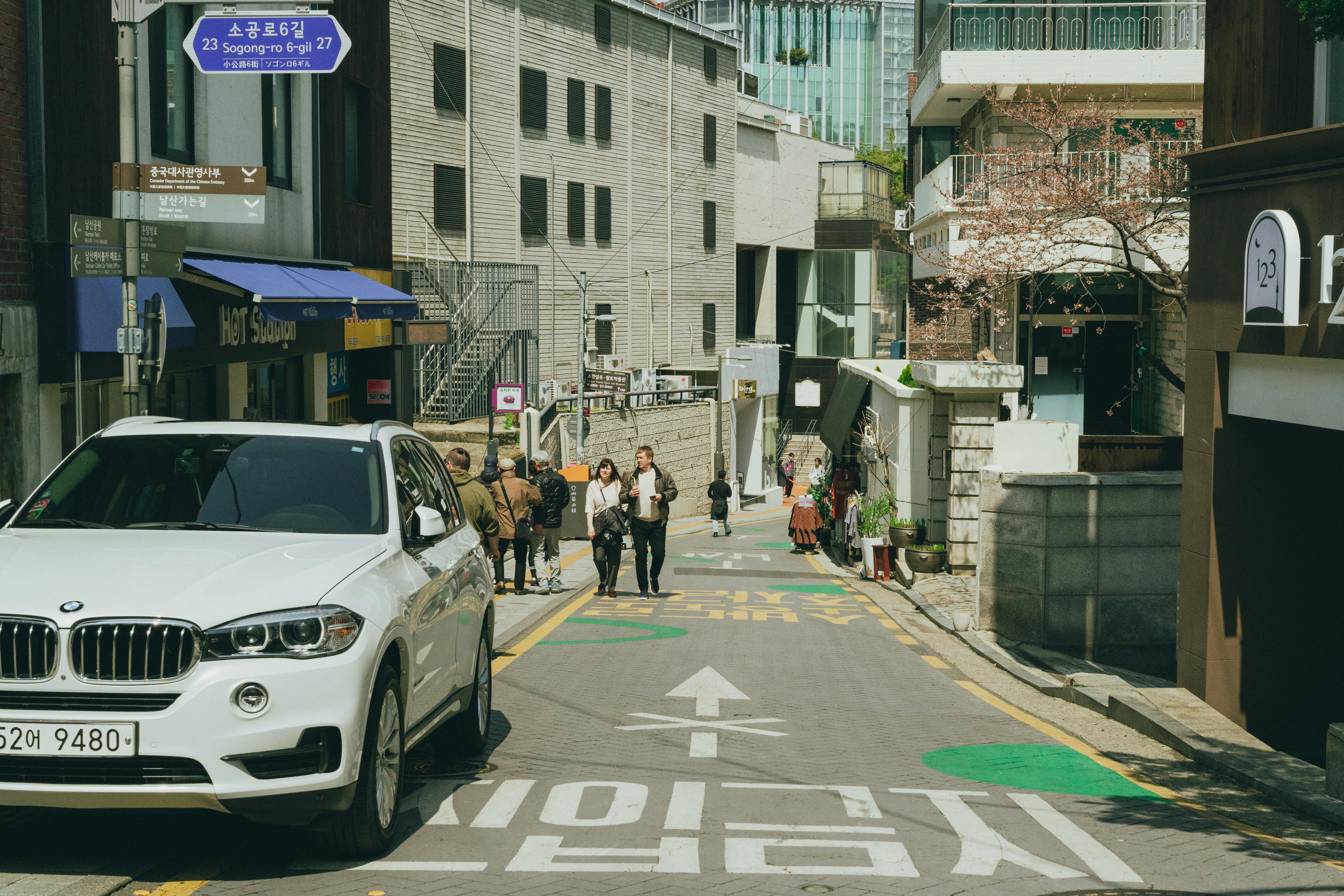Charming spring day in Seoul, showcasing a street lined with cherry blossoms and local architecture.